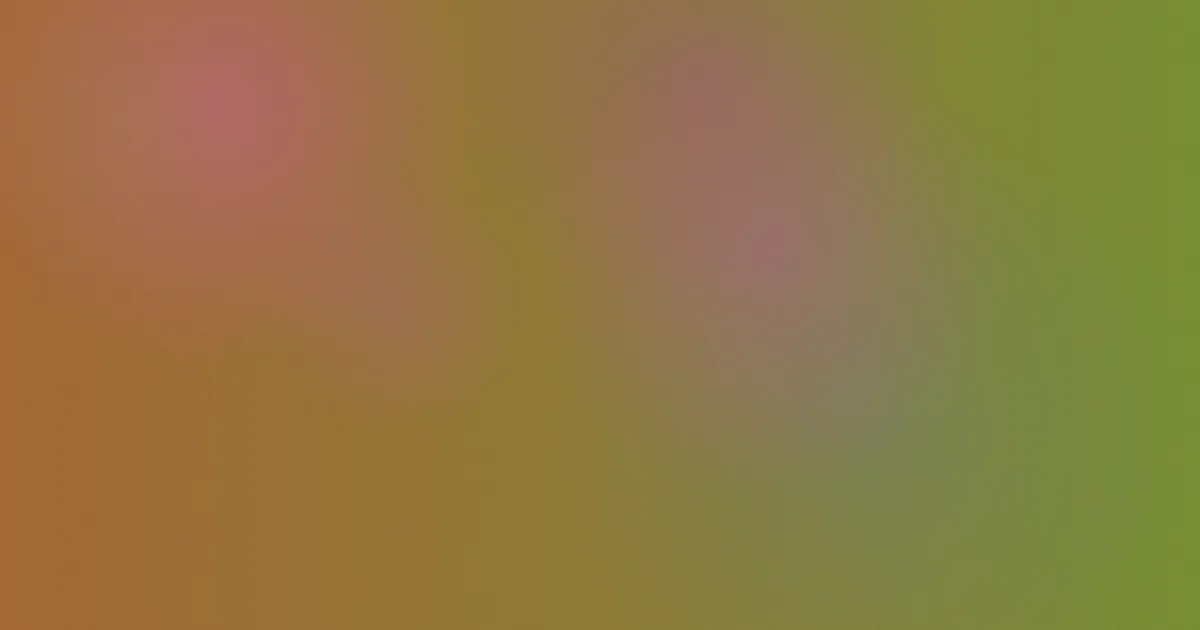 极速蜗牛推荐：新手入门